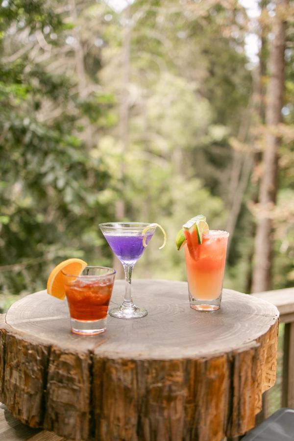Fernwood Resort Big Sur Extérieur photo